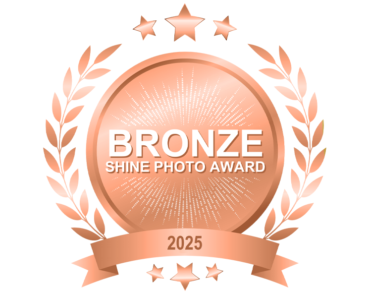 2025_SHINE-Award-BRONZE