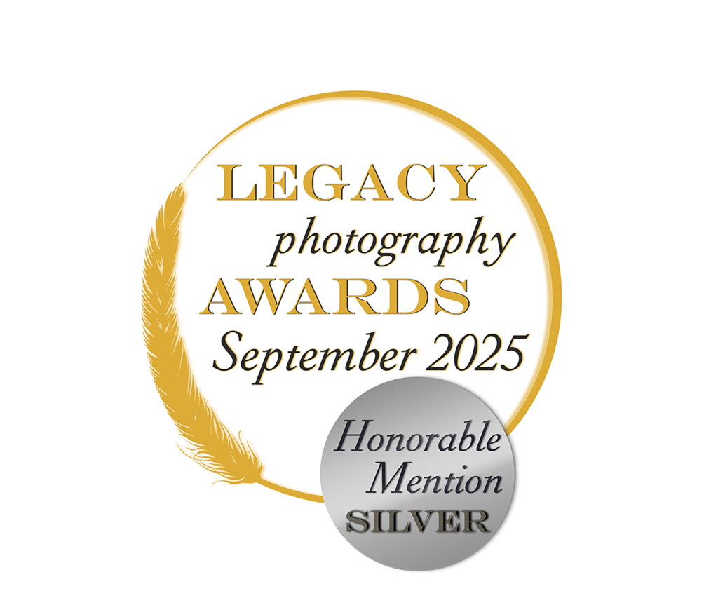 Honorable mention silver